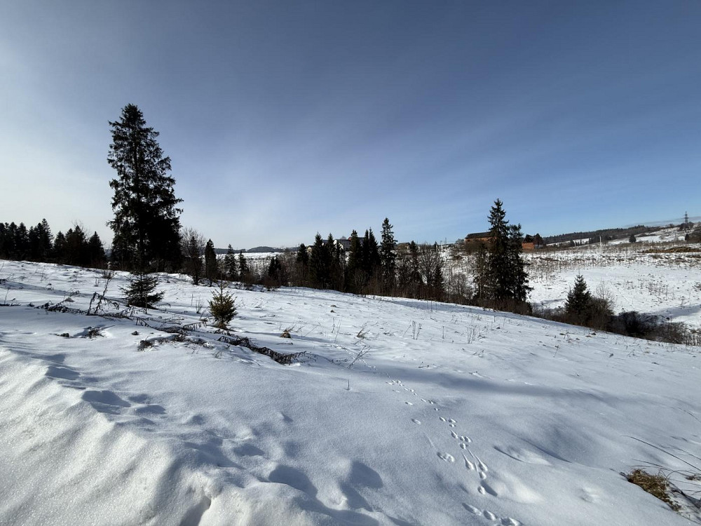 Продаж земельної ділянки 43 соток на вул. Зелена Тухолька - фото 9
