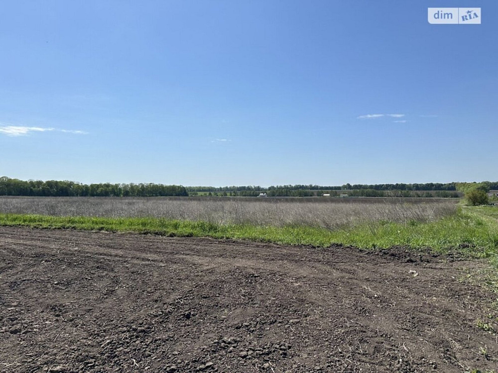 Продаж земельної ділянки 1.4 га Vinnytsya - photo 5