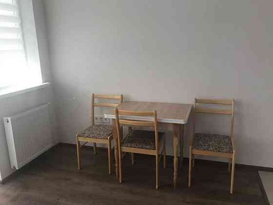 Продаж Квартира 1-кімнатна, 15/24 поверх на Пчілки, 7 Київ