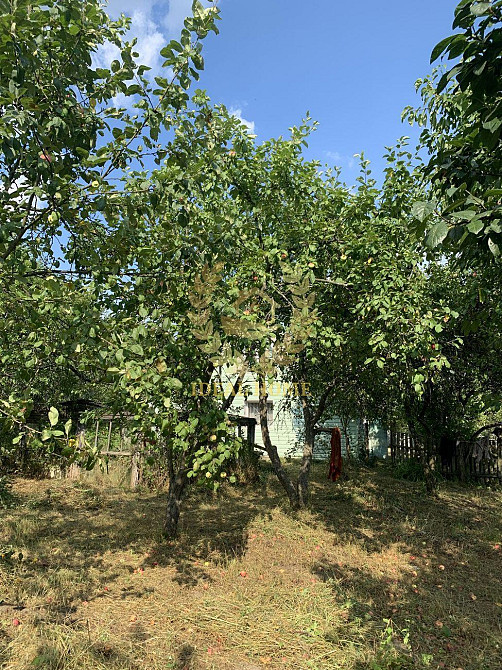 Продам будинок в селі Кодра Kodra - photo 15