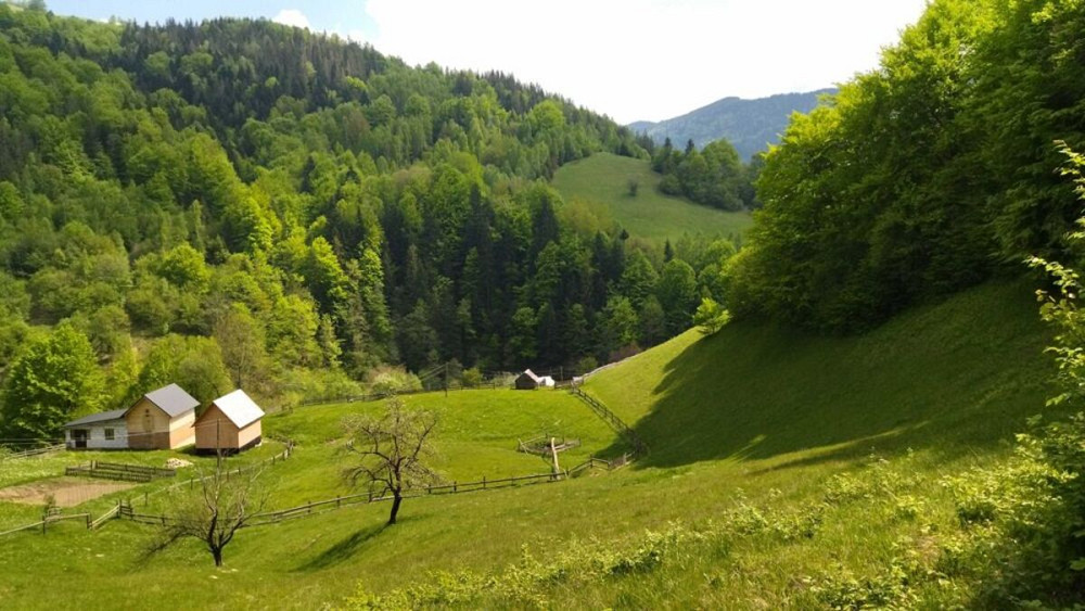 Продаж Будинок Болехів - фото 12