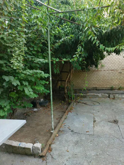 Продам пол дома (квартира на земле) в центре Одессы (ул.Пироговская) Одеса - фото 8