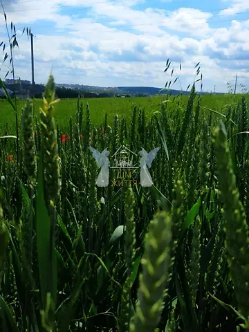 Продажа земельного участка  площадь 14.44 сот Шептицького вулиця 1  - изображение 3