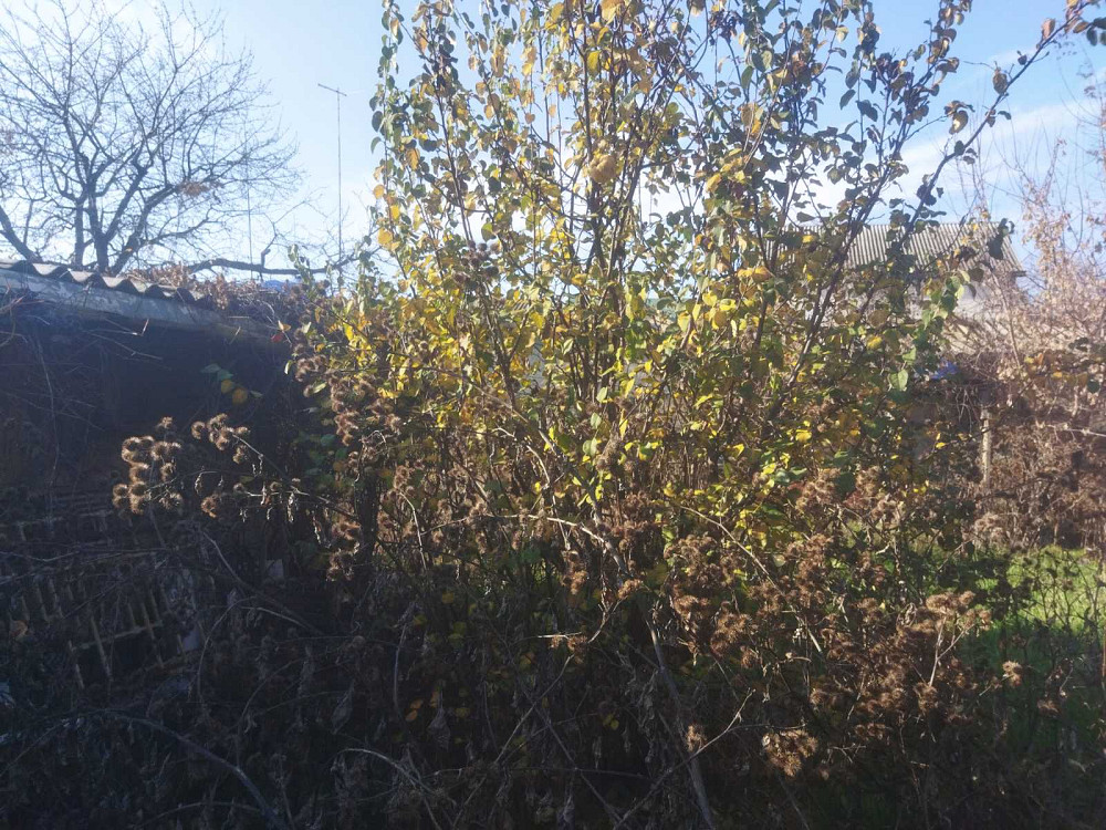 Продам дом на два входа на Ленпоселке Одесса - изображение 3