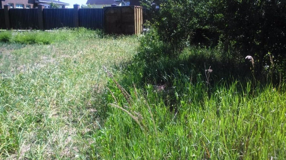 Продаж земельної ділянки 11 соток  - фото 2