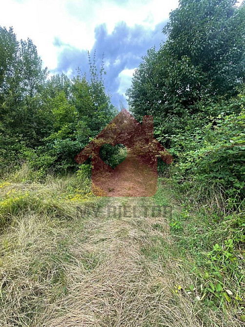 Продаж земельної ділянки 0 соток на Камяниця  - photo 6