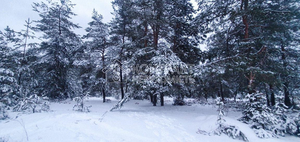 Продаж земельної ділянки 10 соток на вул. Моршинська Kharkiv - photo 5