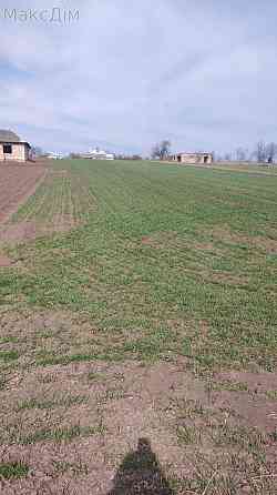 Продаж Будинок на вул. Садова Hrabovets