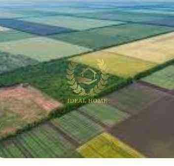 Продаж земельної ділянки 50 соток на Дружбы ул. Липівка