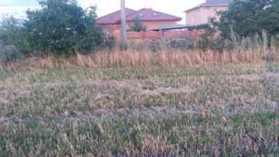 Продаж земельної ділянки 10 соток на КООП Хуторок, 4/7 Лиманка