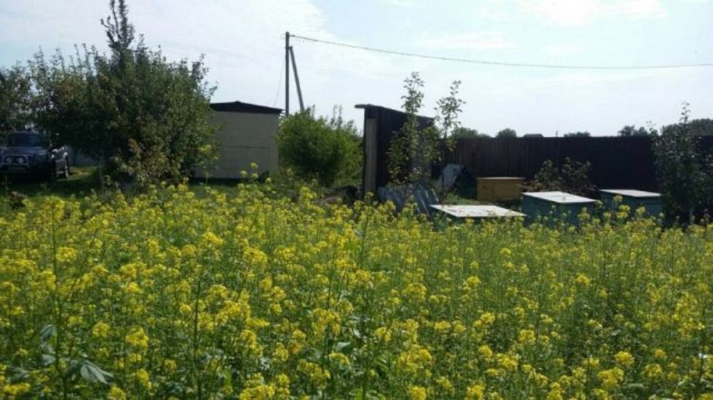 Продаж земельної ділянки 20 соток Головурів - фото 13