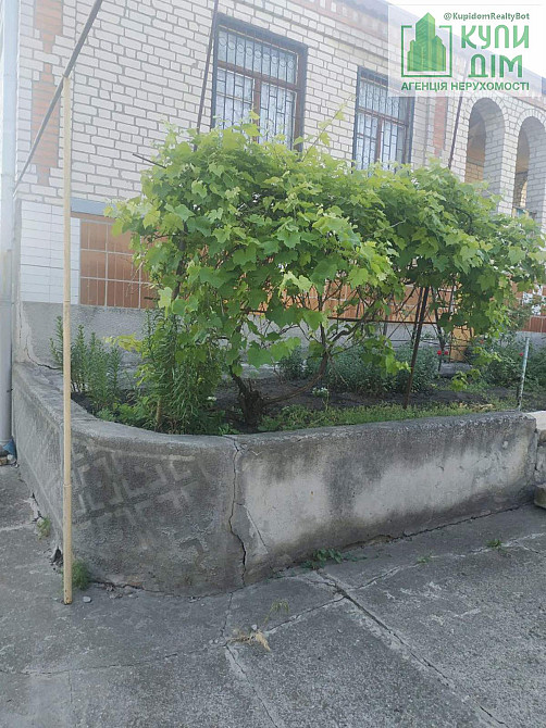 Продам будинок 200 м2 + 39 соток з/д біля озера в Созонівці. Кропивницький - фото 3