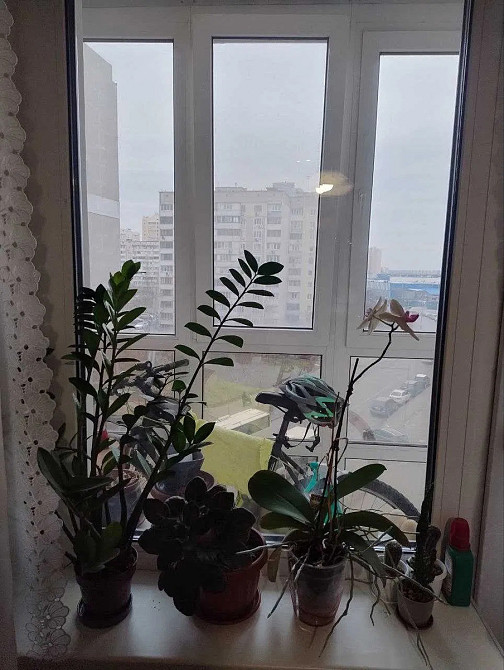 Оренда Квартира 2-кімнатна, 5/25 поверх на Бориса Гмирі, 14 Київ - фото 3