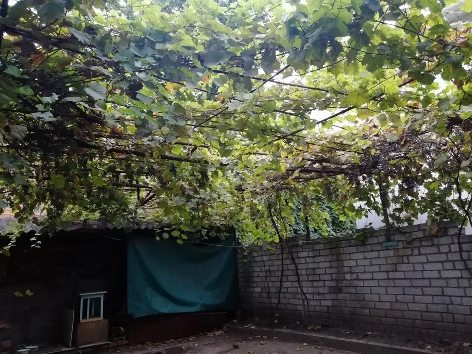 Продаж 1-поверховий Будинок з ділянкою 4 сот 80 кв.м 5 кімн. на Симона Петлюри Дніпро - фото 7