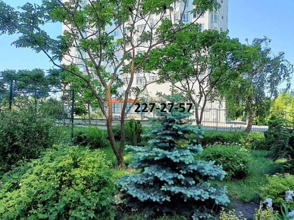 Оренда Квартира 1-кімнатна, 21/25 поверх на Миколи Бажана, 8б Київ - фото 20