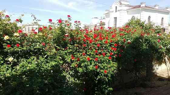 Предлагается на продажу дом в Лесниках 450 м2 и 15 соток с ландшафтным дизайном № 229517 