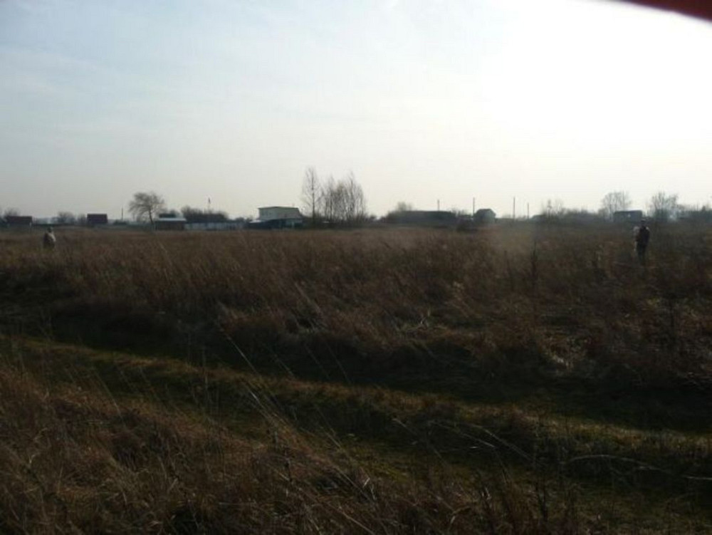 Продаж земельної ділянки 10 соток Лозівка - фото 1