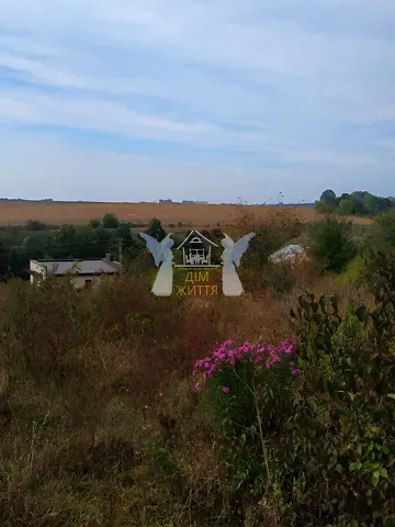 Продажа земельного участка  площадь 6 сот Вишнева вулиця  - изображение 8