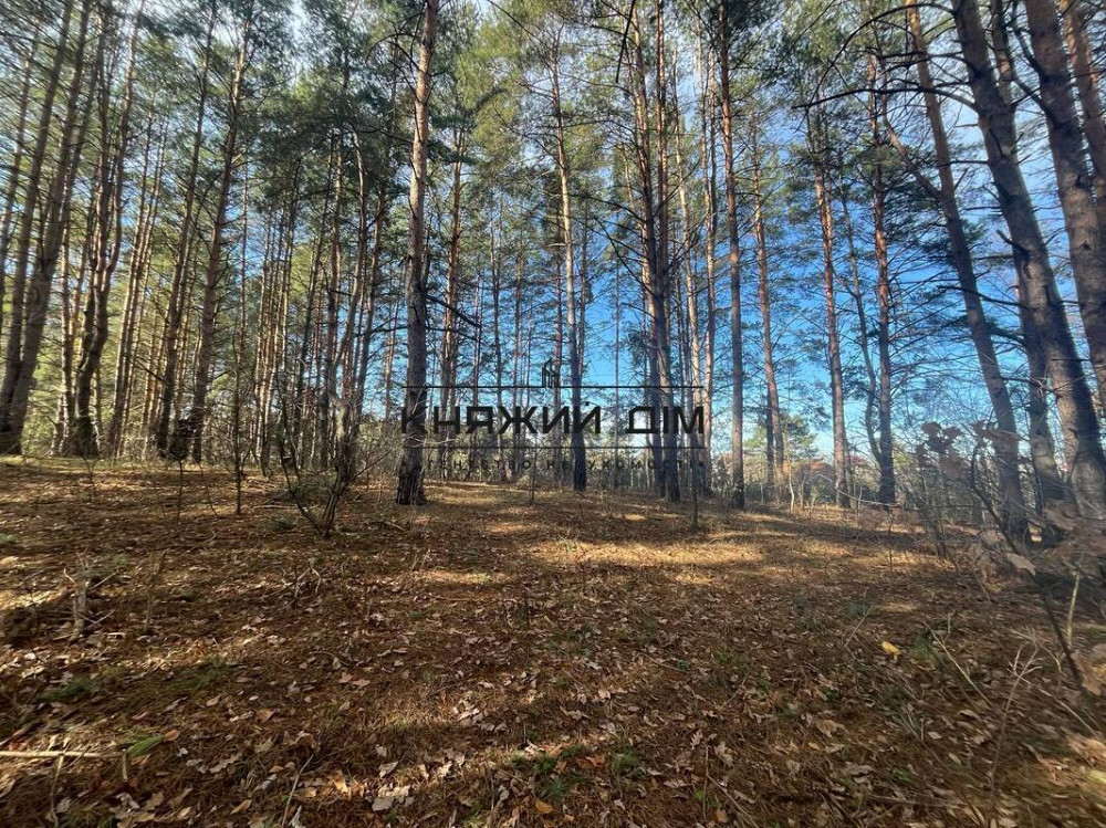 Продаж земельної ділянки 14 соток на вул. Котляревського Hlevakha - photo 3