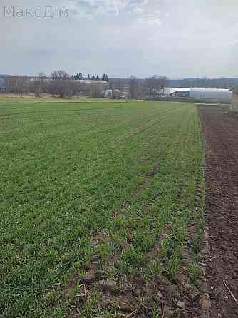 Продаж Будинок на вул. Садова Hrabovets