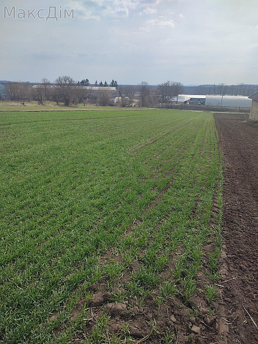 Продаж Будинок на вул. Садова Hrabovets - photo 5