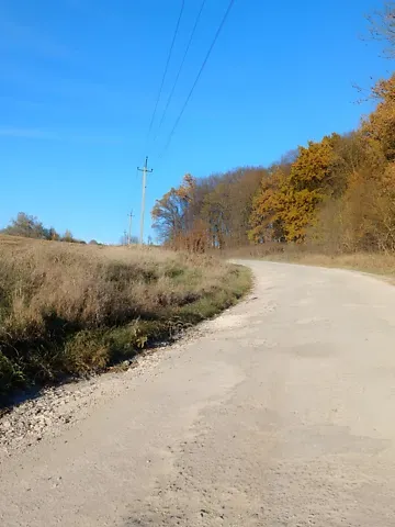 Продажа земельного участка  площадь 16 сот Зелена вулиця 1  - изображение 5