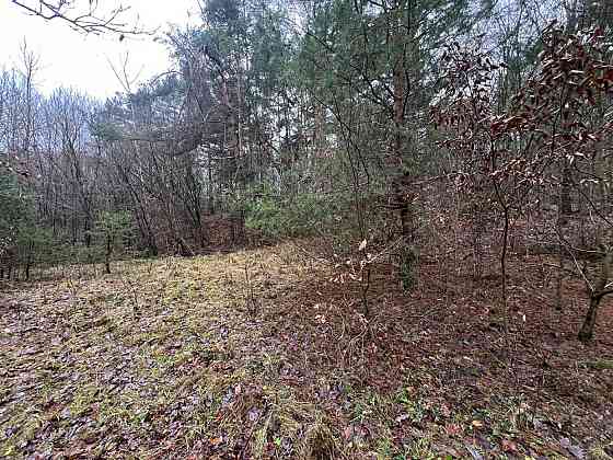 Продаж Квартира на улица Замарстинівська Львов