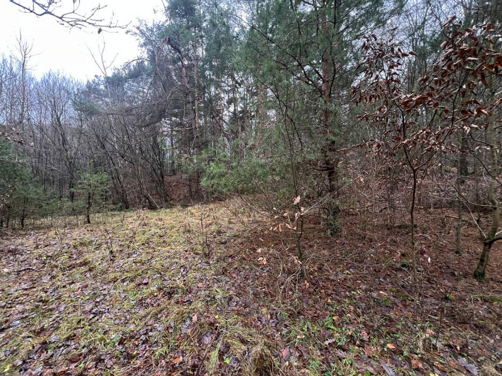 Продаж Квартира на улица Замарстинівська L'viv - photo 1