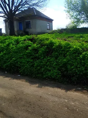 For sale land plot  area 38 ares Миру вулиця  - photo 1