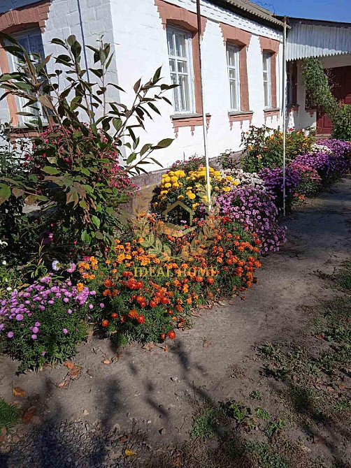 Продам будинок у Житних Горах  - фото 7