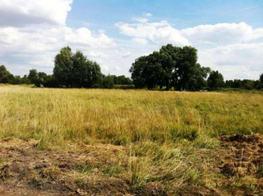 Продаж земельної ділянки 10 соток  - фото 1