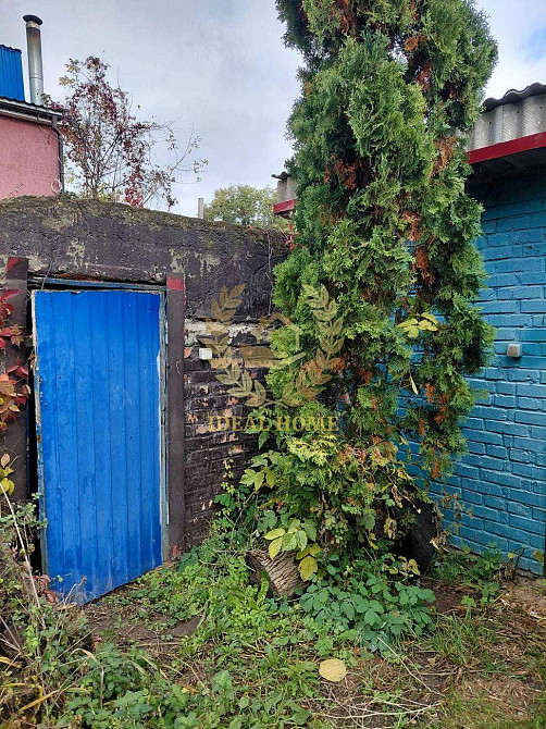 Продам будинок у Півці,Можливо під виплату  - фото 10