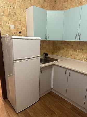 Оренда Квартира 1-кімнатна, 18/24 поверх на вул. Софії Русової, 3 Київ