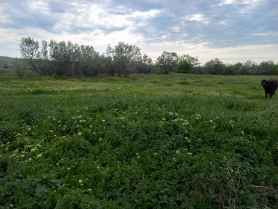 Продаж земельної ділянки 0 соток на ул. Комарова, 113 Нижній Куяльник - фото 2