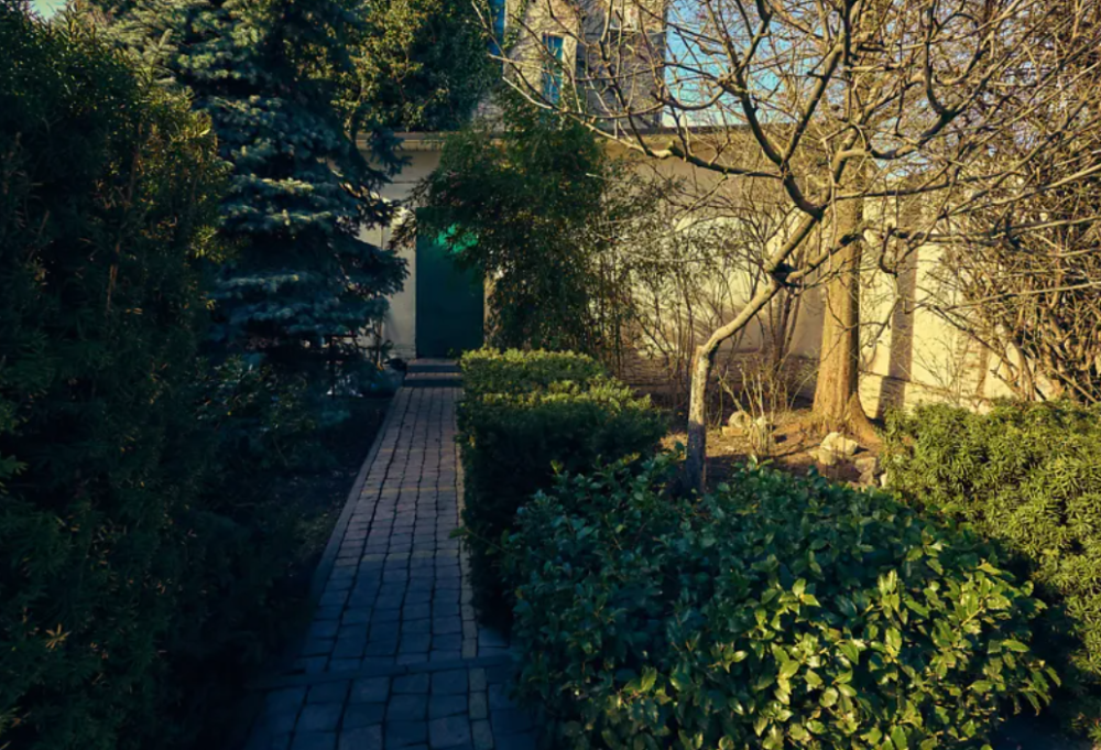 Дом Вузовский. Одесса - изображение 11