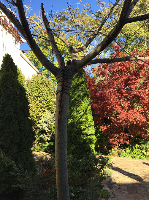 Продаж земельної ділянки 0.1 соток на переулок Зоряний, 6 Нерубайське - фото 6