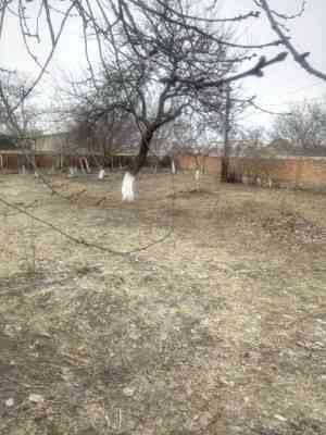 Продаж земельної ділянки 0.2 соток на ул. Радостная, 8 Дачне