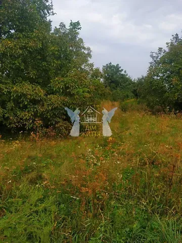 Продаж земельної ділянки  площа 10 сот Козацька вулиця Велика Березовиця - фото 14