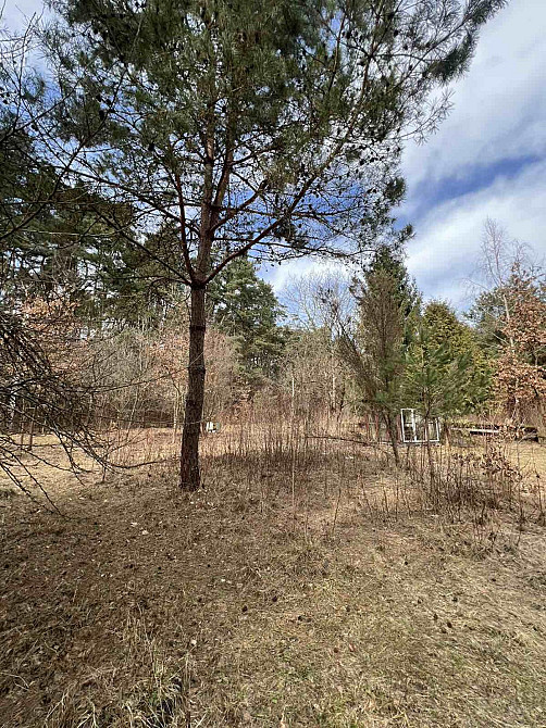 Продаж земельної ділянки 53 соток на вул. Шевченка Rodatychi - photo 10