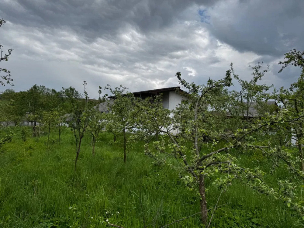 Продаж Будинок Горохолина - изображение 5