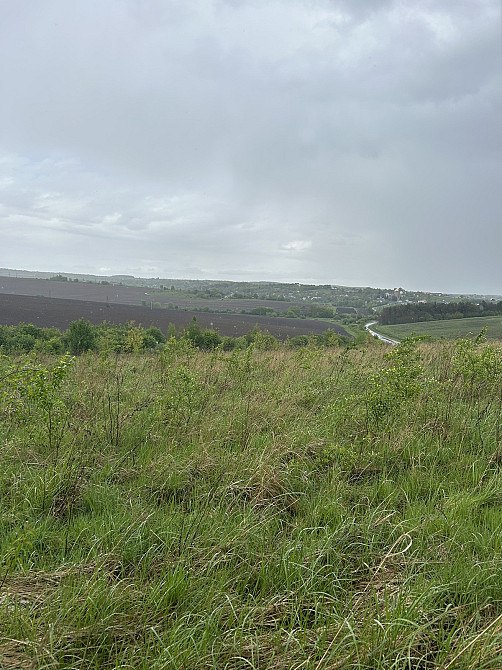 Продаж земельної ділянки 8 соток на Журавлина Vovchynets - photo 2