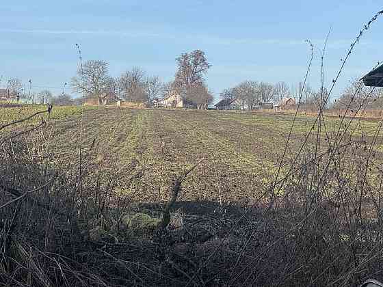 Продаж Будинок 3-кімнатний Підберізці