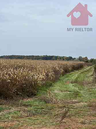 Продаж земельної ділянки 15 соток Tyihlash