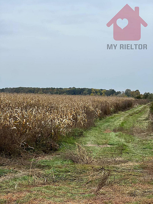 Продаж земельної ділянки 15 соток Tyihlash - photo 6