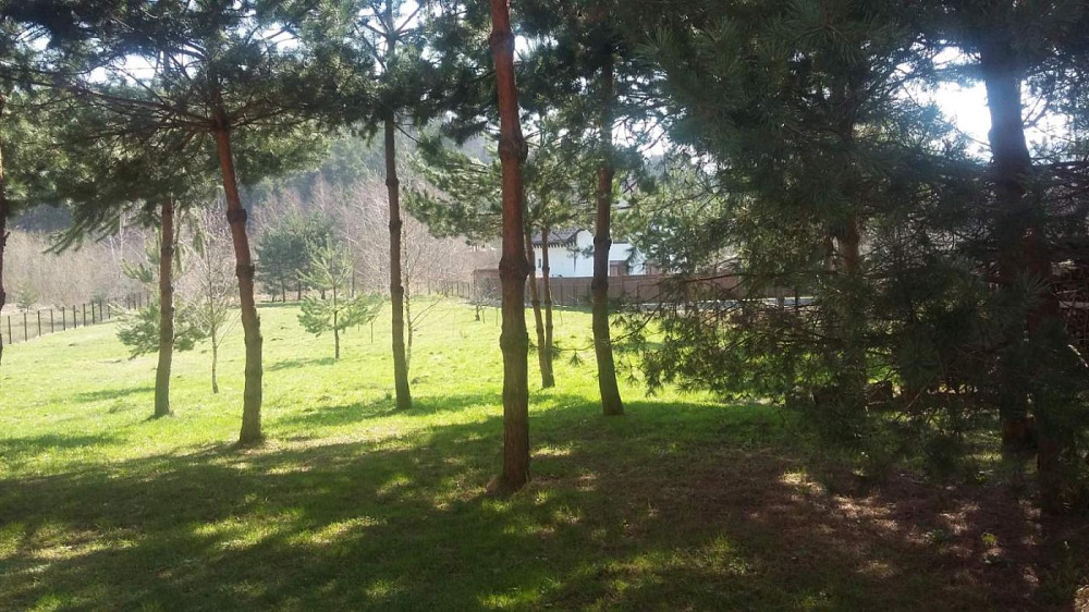 Продаж Квартира на улица Вербова 41 Briukhovychi (m Lviv raion) - photo 19