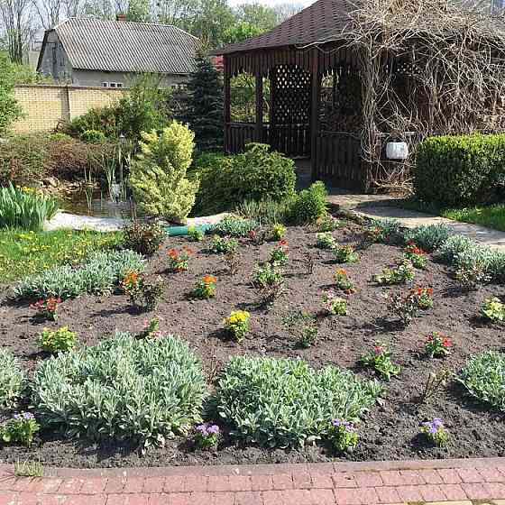 Продаж Будинок 5-кімнатний Riasne-Ruske