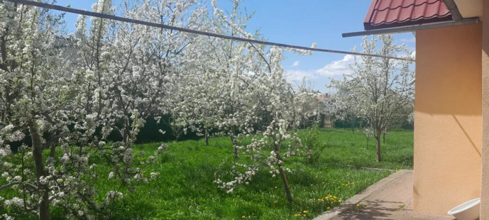 Продаж Будинок на Грицишина  - фото 4