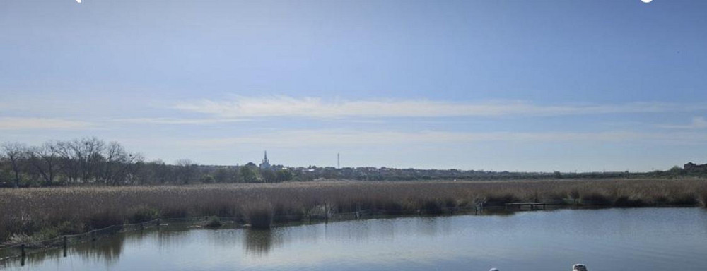 Продаж земельної ділянки на Овідіопольський район, Прилиманська сільська рада, масив, 24  - фото 1