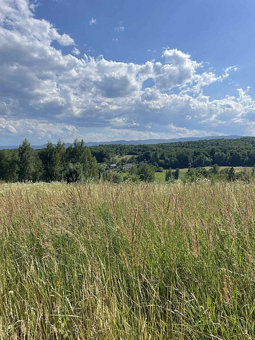 Продаж земельної ділянки 25 соток на Щорса Verbovets - photo 2