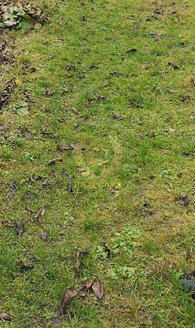 Продаж земельної ділянки 12 соток на Майская ул., 27 Kulibaba - photo 5